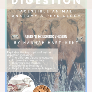 Electronic Download: Student Workbook - Chapter 1 - Digestion - Accessible Animal Anatomy & Physiology
