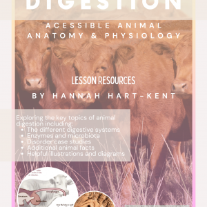 Electronic Download: Educator Resources Pack - Chapter 1 - Digestion - Accessible Animal Anatomy & Physiology