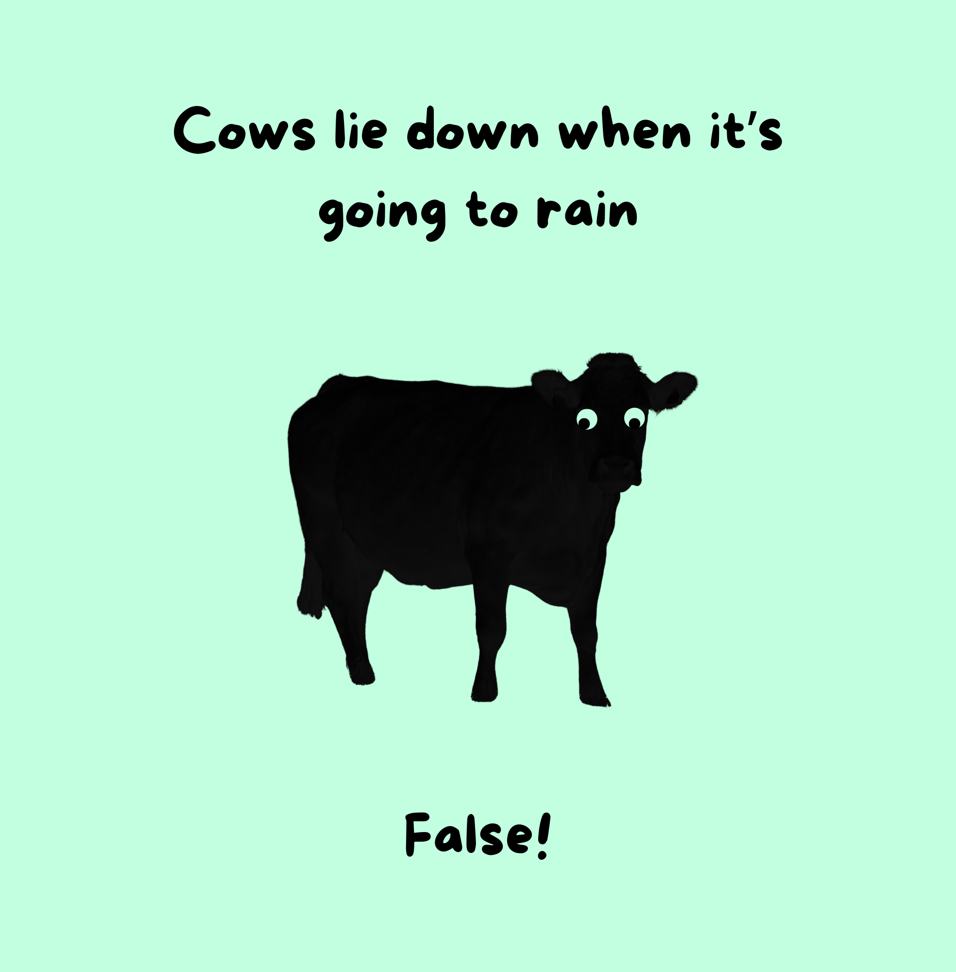 Animal Myth Busters - Image 6