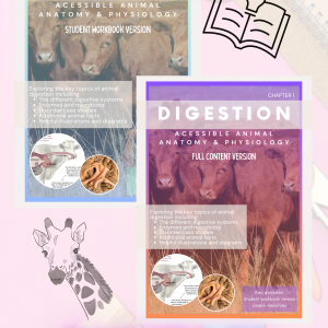BUNDLE - Electronic Download: Chapter 1 - Digestion - Learner workbook AND Resource Pack