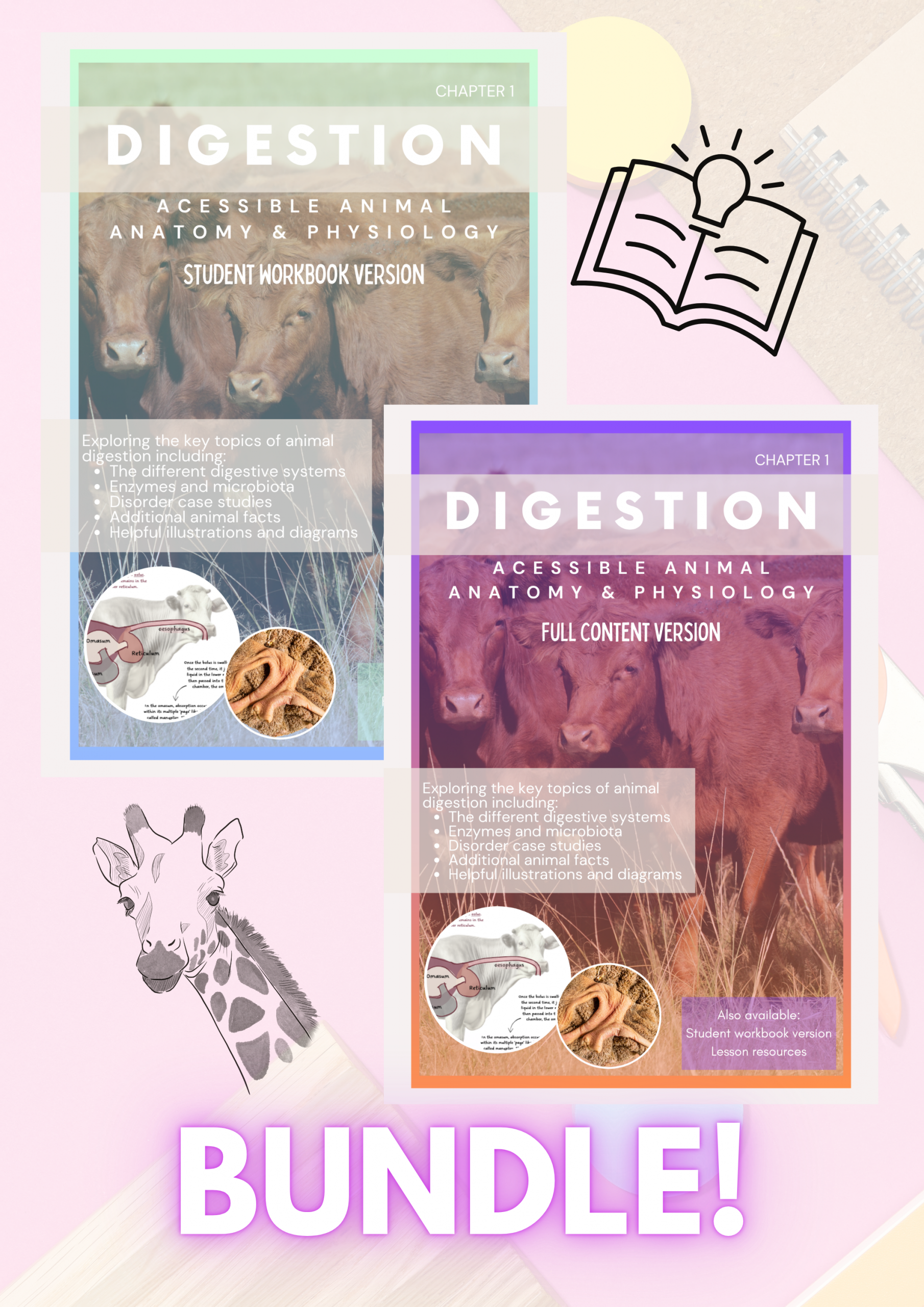 BUNDLE - Electronic Download: Chapter 1 - Digestion - Learner workbook AND Resource Pack