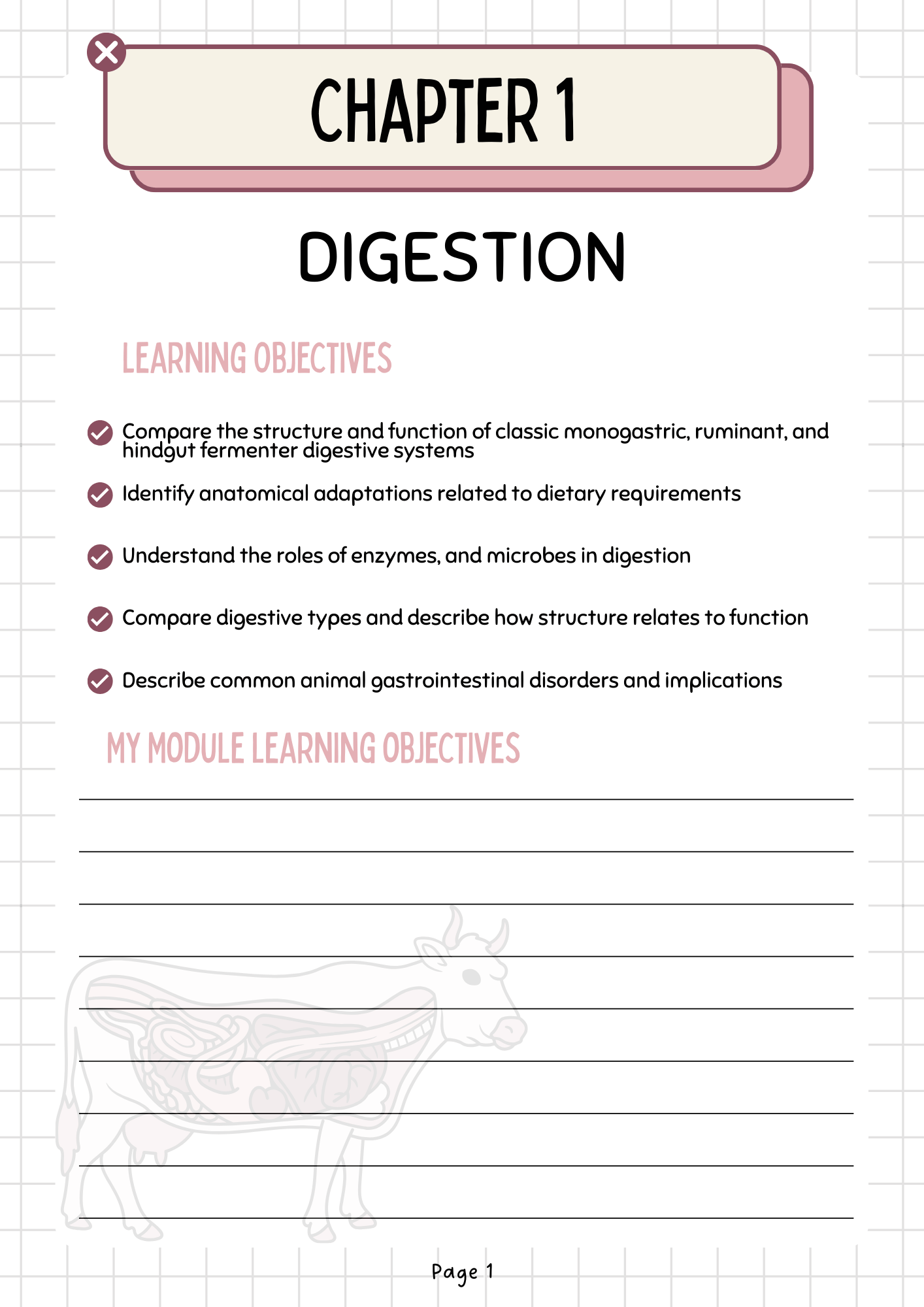 BUNDLE - Electronic Download: Chapter 1 - Digestion - Learner workbook AND Resource Pack - Image 4