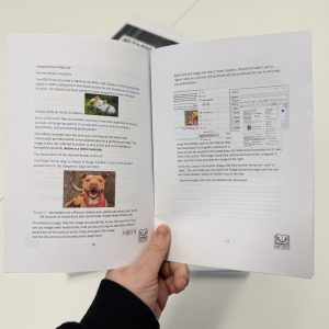 Guide to formatting professional documents - Electronic Download