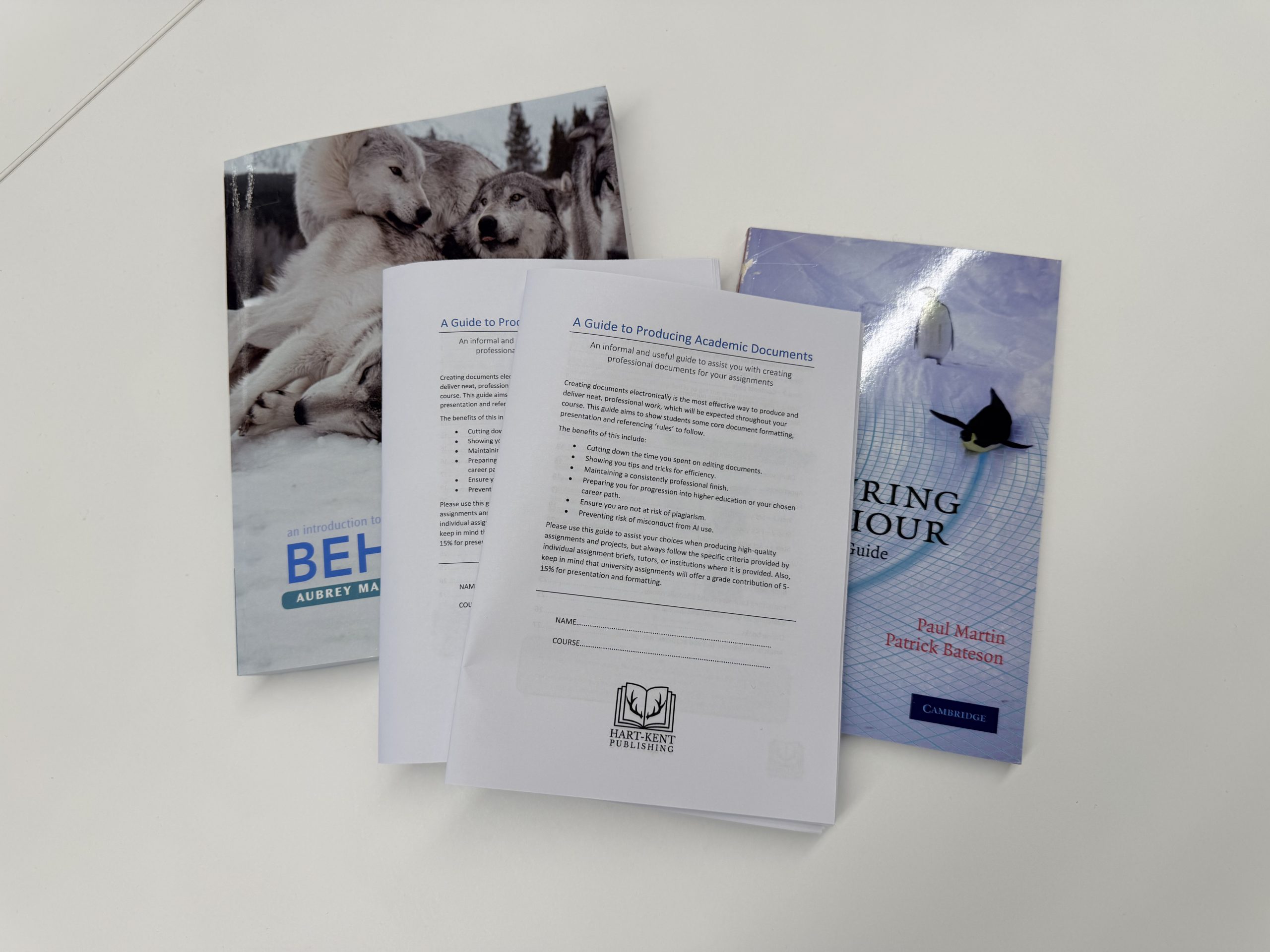 A Guide to Producing Academic Documents - Downloadable booklet - Image 2