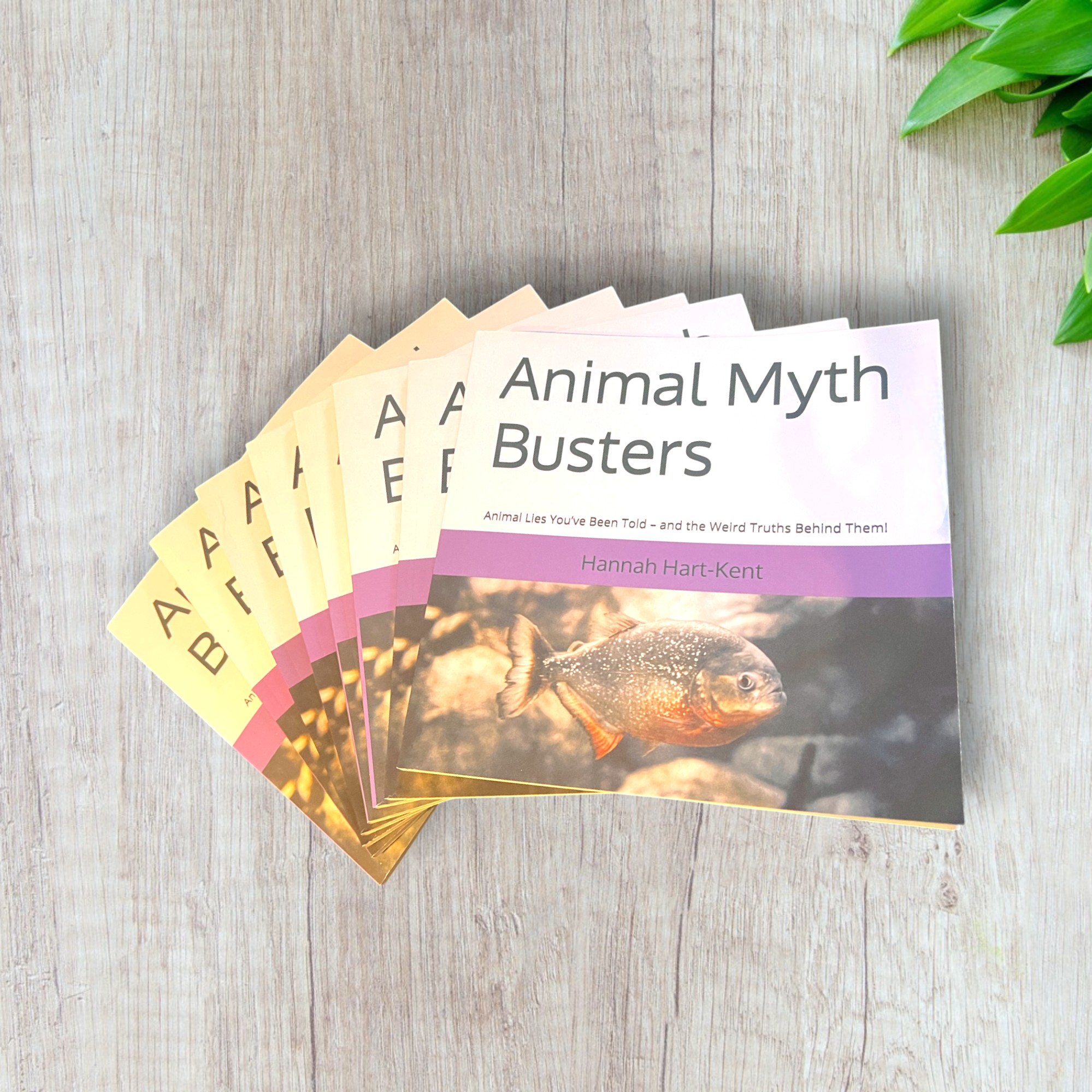 Animal Myth Busters | Mini Series Book - Image 2