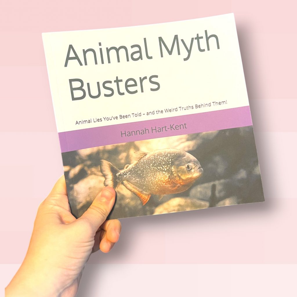 Animal Myth Busters | Mini Series Book