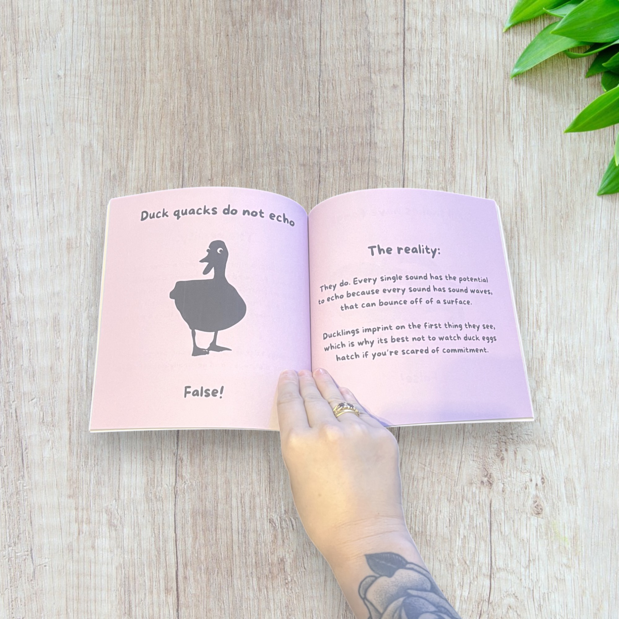 Animal Myth Busters | Mini Series Book - Image 7