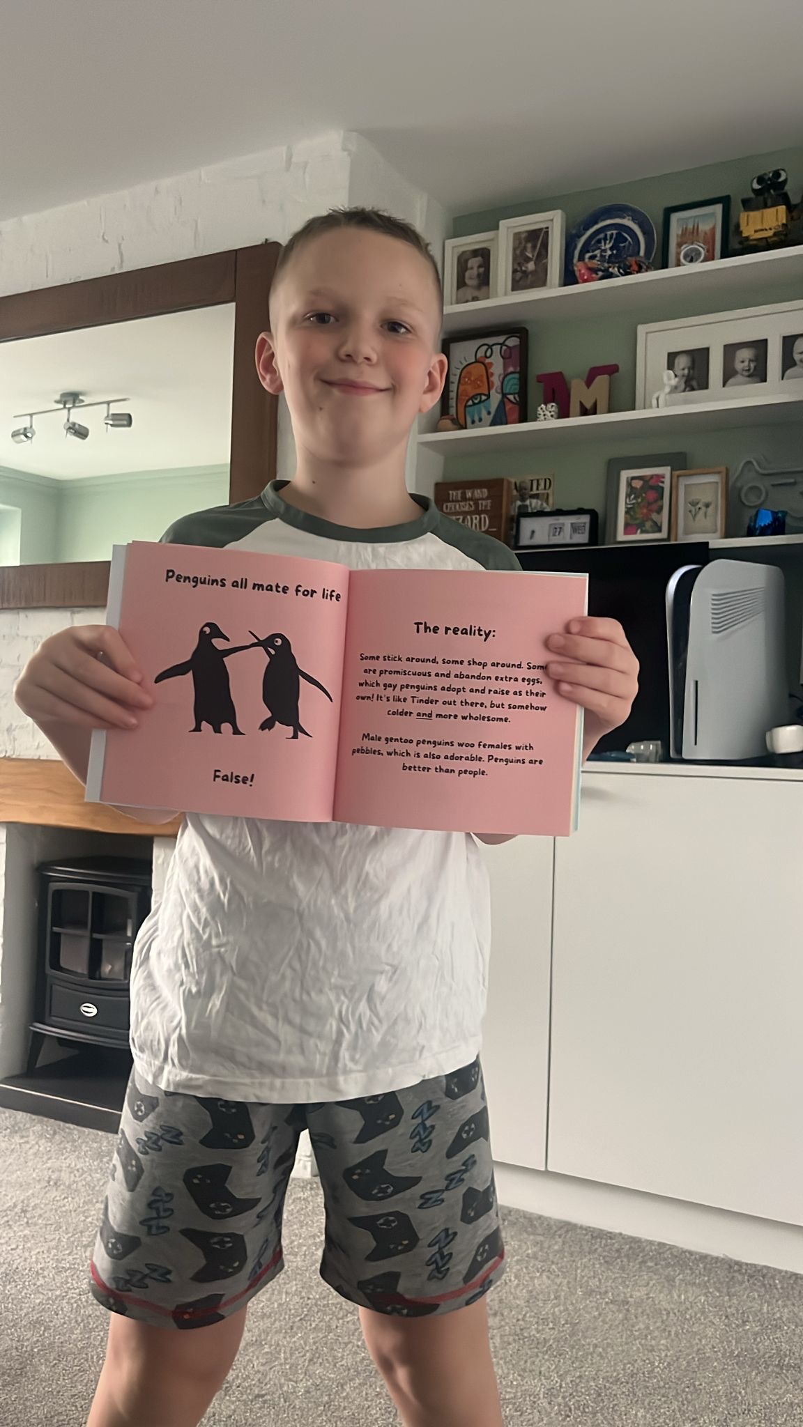 Animal Myth Busters | Mini Series Book - Image 8