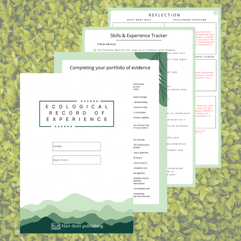 Ecological Record of Experience - downloadable portfolio